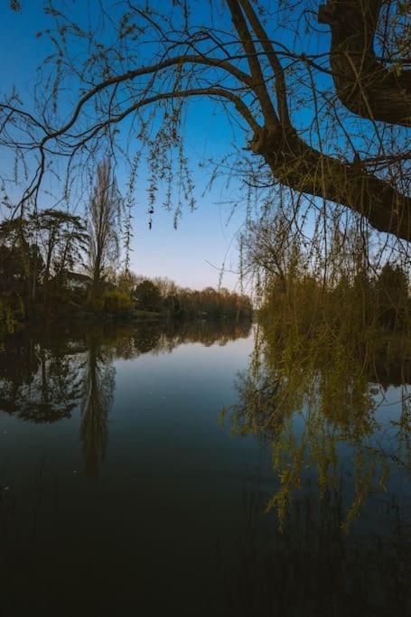 Le Chalet Du Bout Du Monde, En Bord De Riviere ! Grez-sur-Loing Экстерьер фото